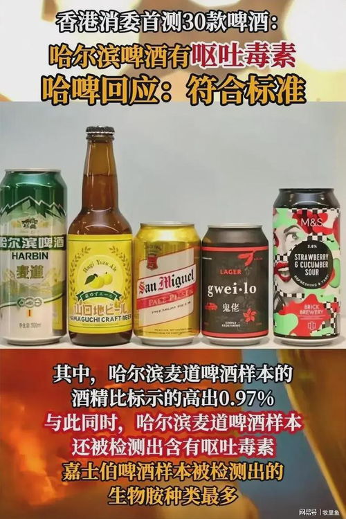 哈尔滨啤酒估计要凉 啤酒检测出呕吐病菌 官方 只在内地销售